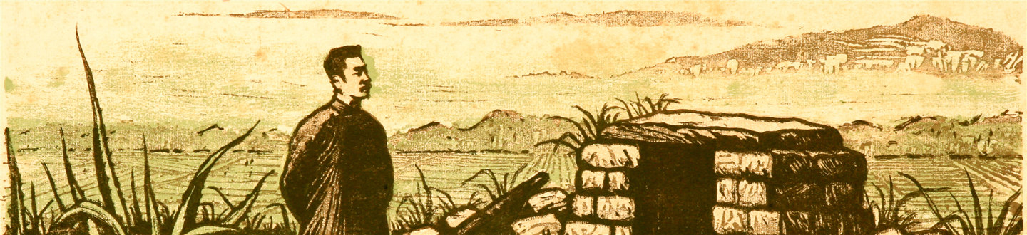 图片描述